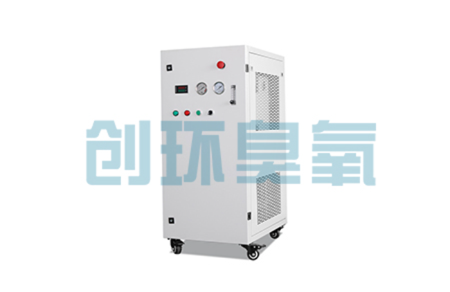 石柱比传统换水更高效?臭氧发生器在石斑鱼养殖中的水质净化原理解析